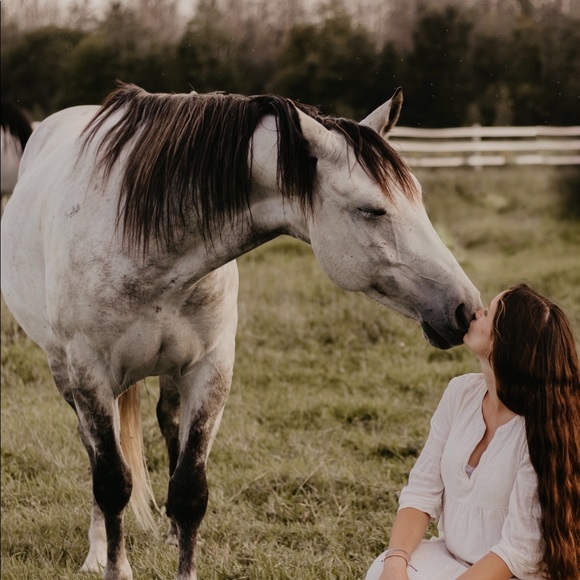 Meet your Posher, Tess - Picture 1 of 2